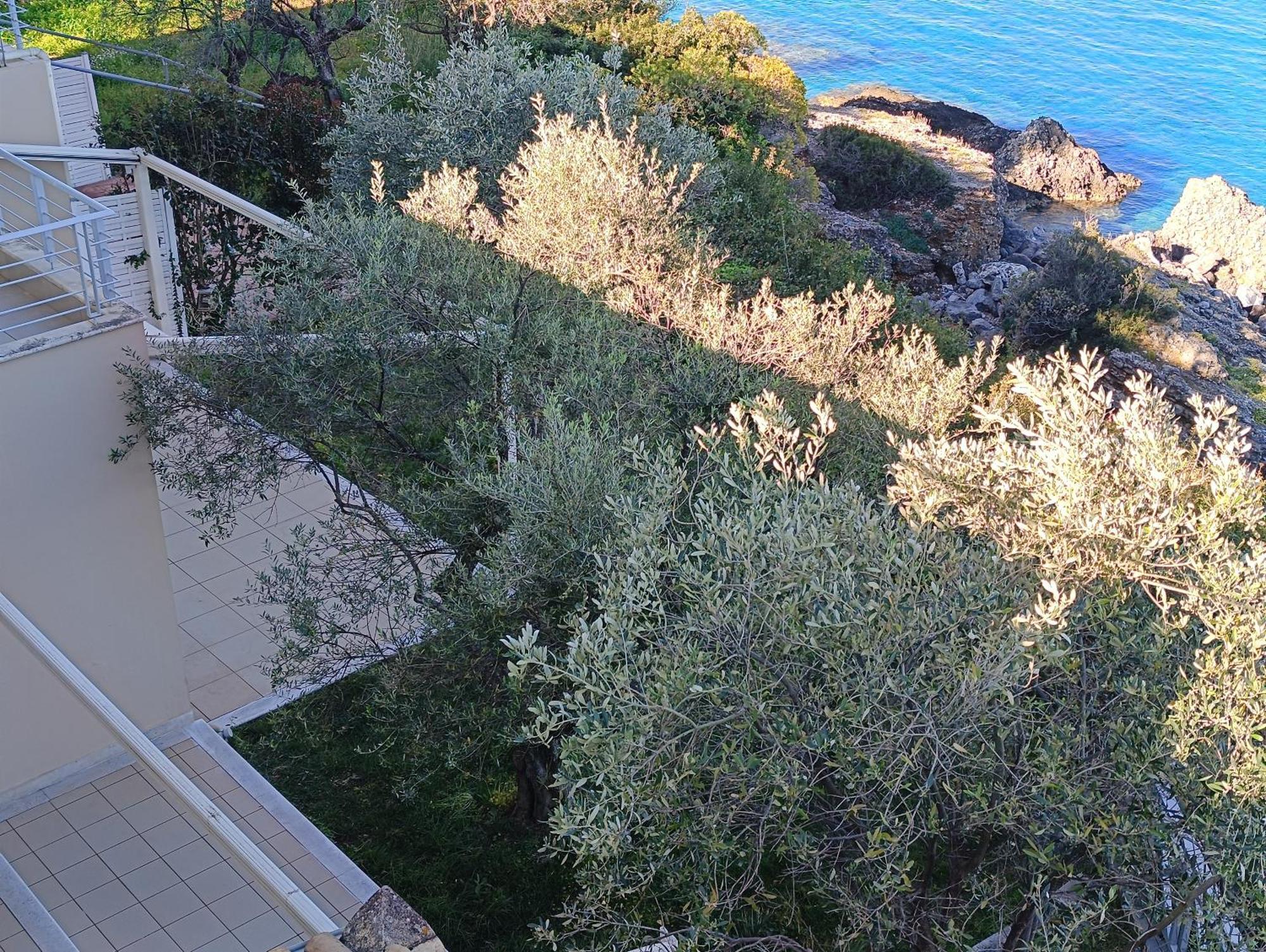 Palaiohora Avias Apartments 2 Dış mekan fotoğraf